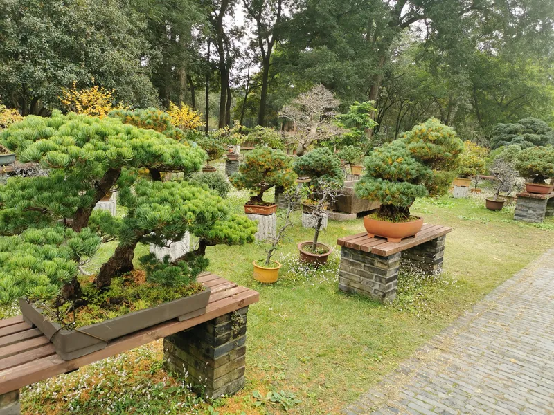 Lush Garden Blooming With Flora