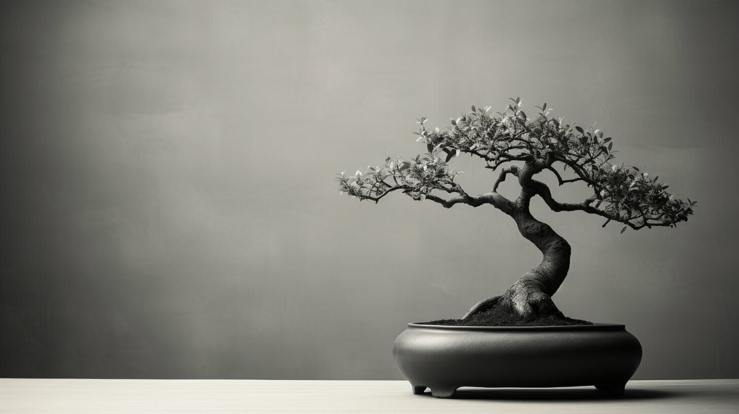 Interesting Bonsai Tree Facts and History