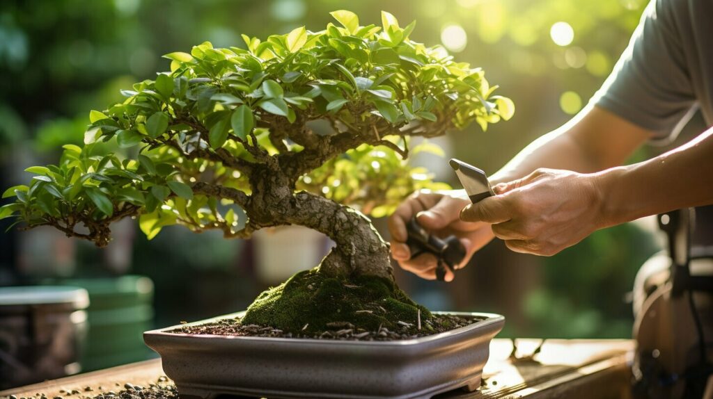 Pruning and Maintenance of Bonsai Trees