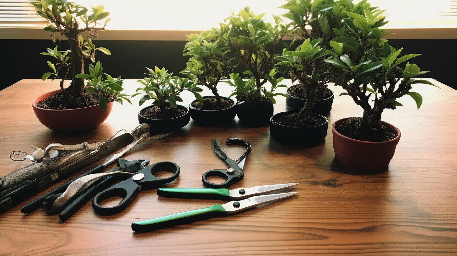 Essential Supplies for Keeping Bonsai Trees