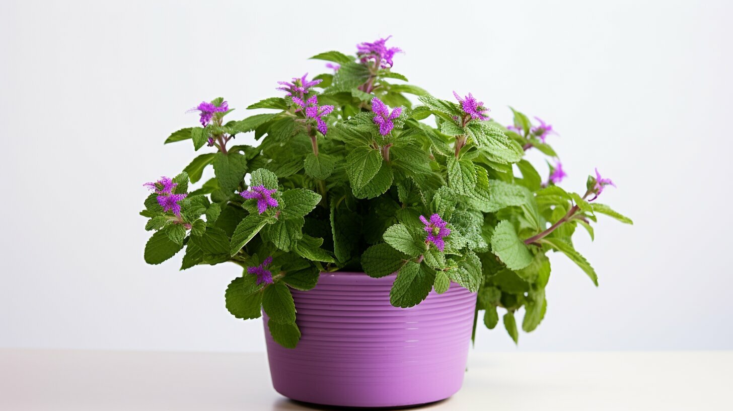 11 Indoor Plants That Smell Great In Your Home