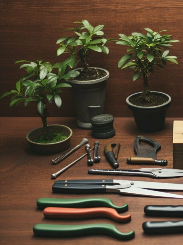 bonsai pruning tools