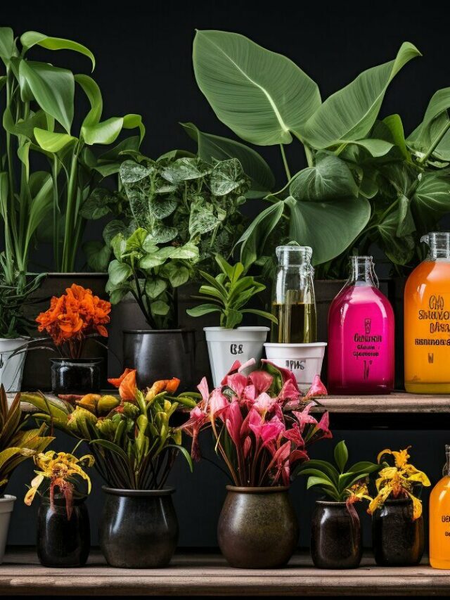 plant toxicity levels