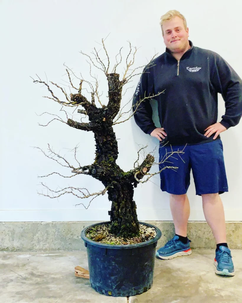 Plant Lover Posing with 4 Feet Tall In Rounded Clay Pot at Home