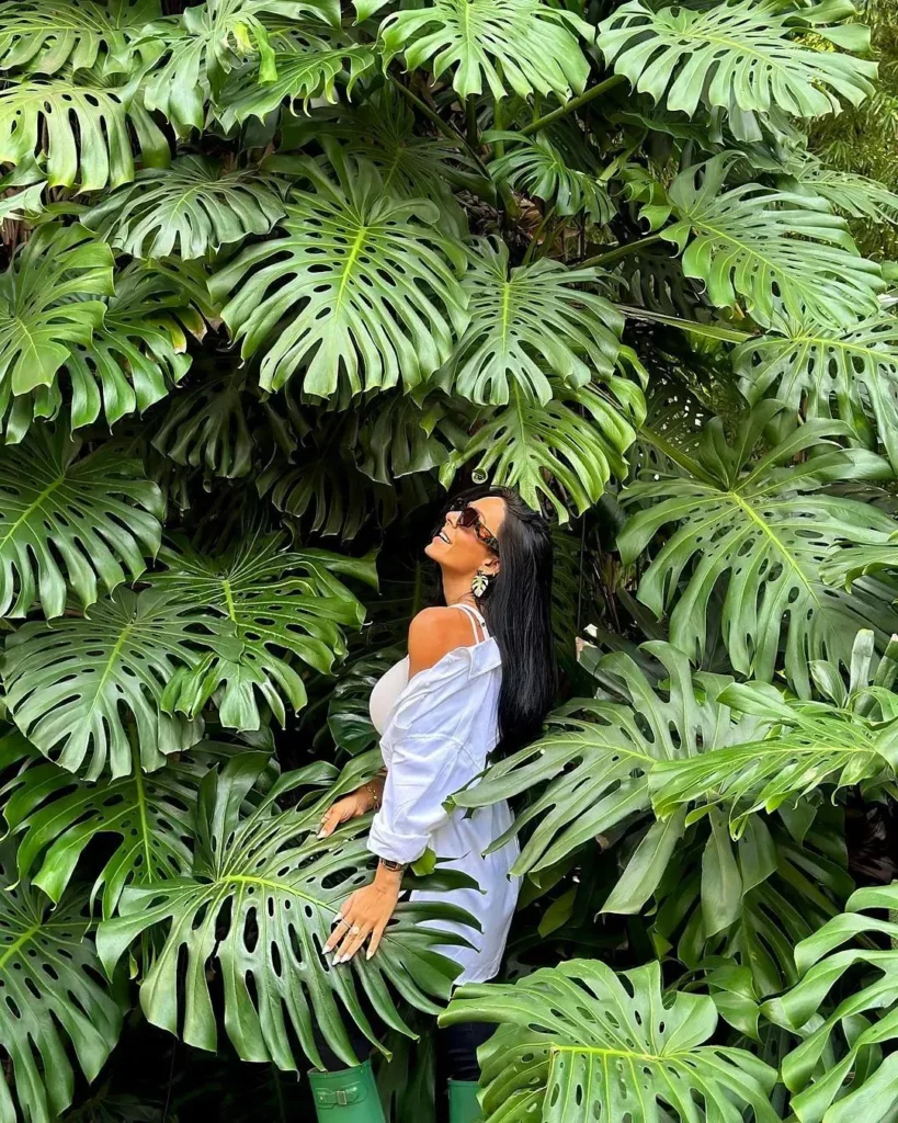 Girl Posing with Fully Grown Monstera Deliciosa (Swiss Cheese Plant)