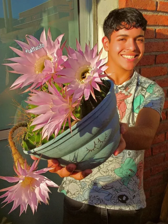 Happy Smiling Boy with Echinopsis Eyriesii Plant In 12" Plastic Pot at Home