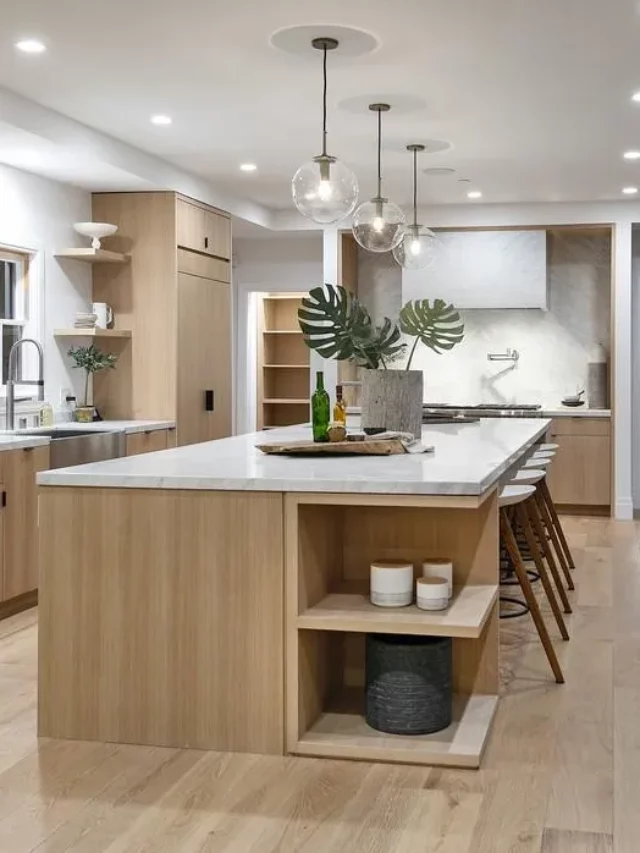 Monstera Plant Enhances Bieber's Sleek, Minimalist Kitchen