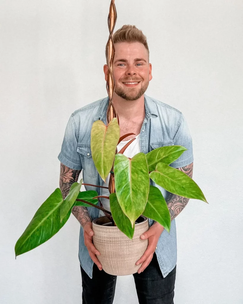 Happy Man Posing with Round Shape 6" Ceramic Pot and Support Stick