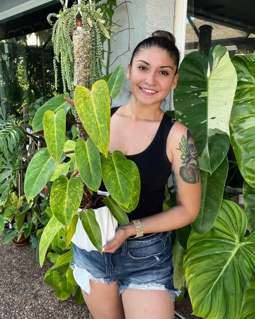 Tattooed Girl with Philodendron Painted Lady and Its Moss Support Stick In Round Pot at Garden