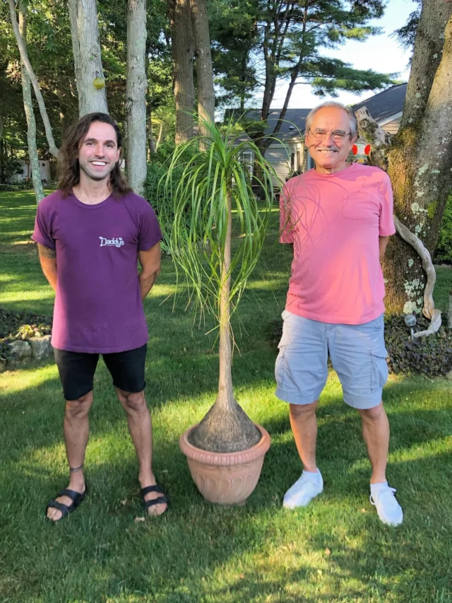 Happy Two Mens Posing with 4 Feet Tall Ponytail Palm (Beaucarnea Recurvata) Plant at Outdoor Garden Area