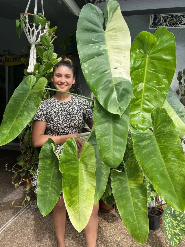 Girl Posing with Philodendron Jose Buono Plant at Garden
