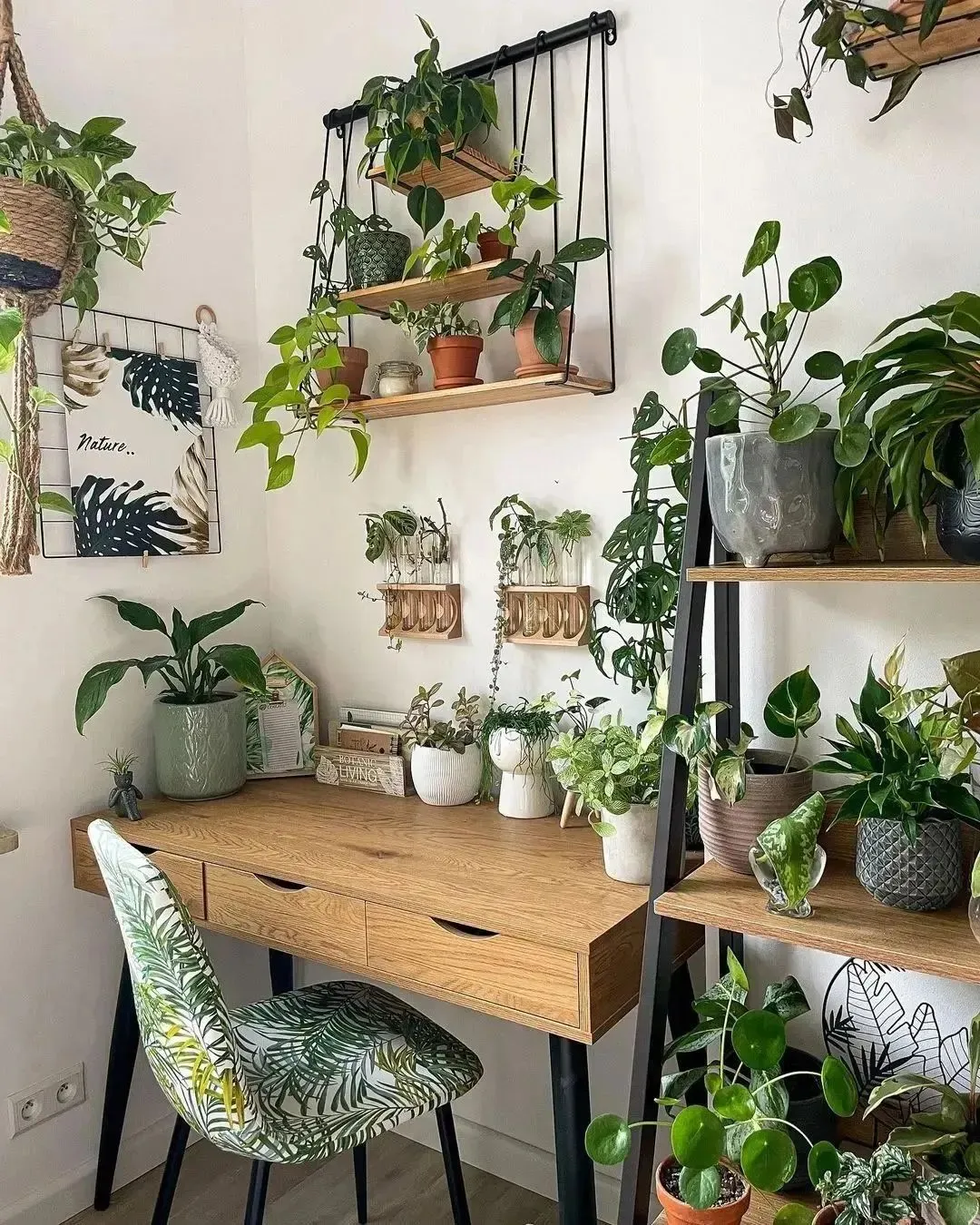 Workspace with philodendron