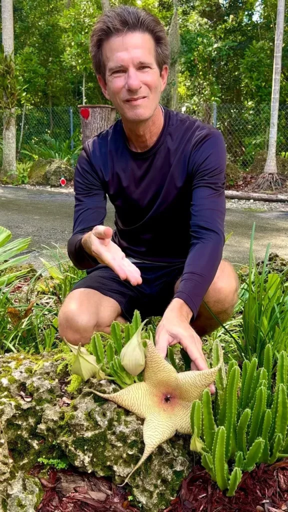 Man Showing Zulu Giant Succulent Plant at Garden
