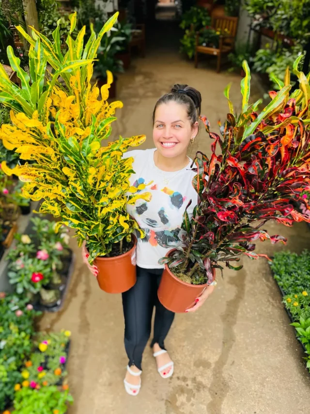 Happy Girl Carrying Two Croton (Codiaeum Variegatum) Indoor Plants at Garden