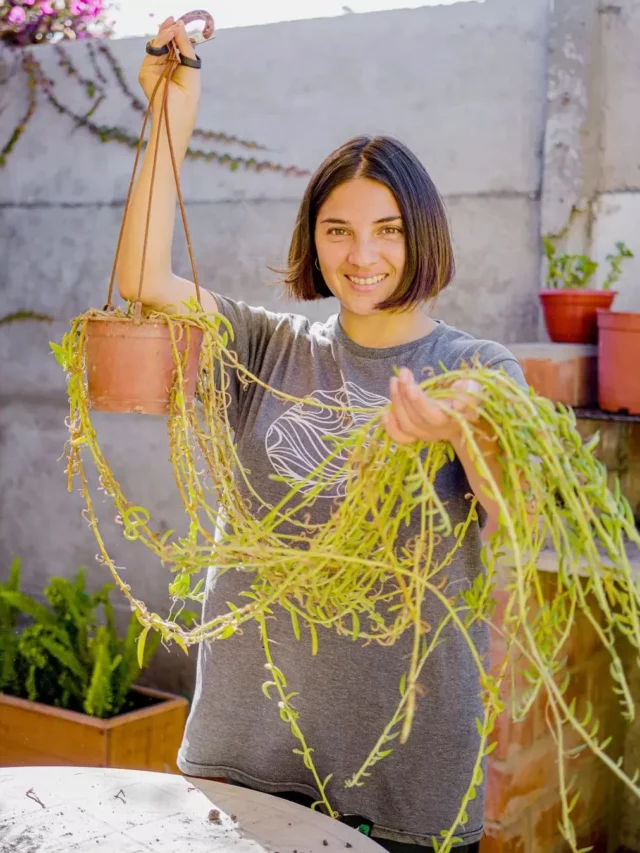 Happy Girl Posing with String of Bananas (Senecio Radicans) Plant Hanging From Round Pot at Garden Area