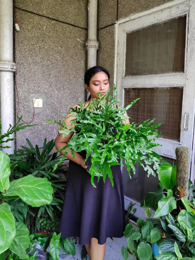 Teenage Girl Posing with Kangaroo Paw Fern Plant at Garden Area