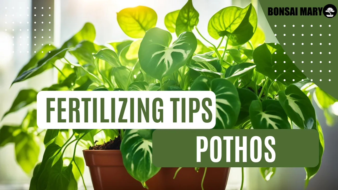How Often Should You Fertilize Bonsai: Optimal Care Tips