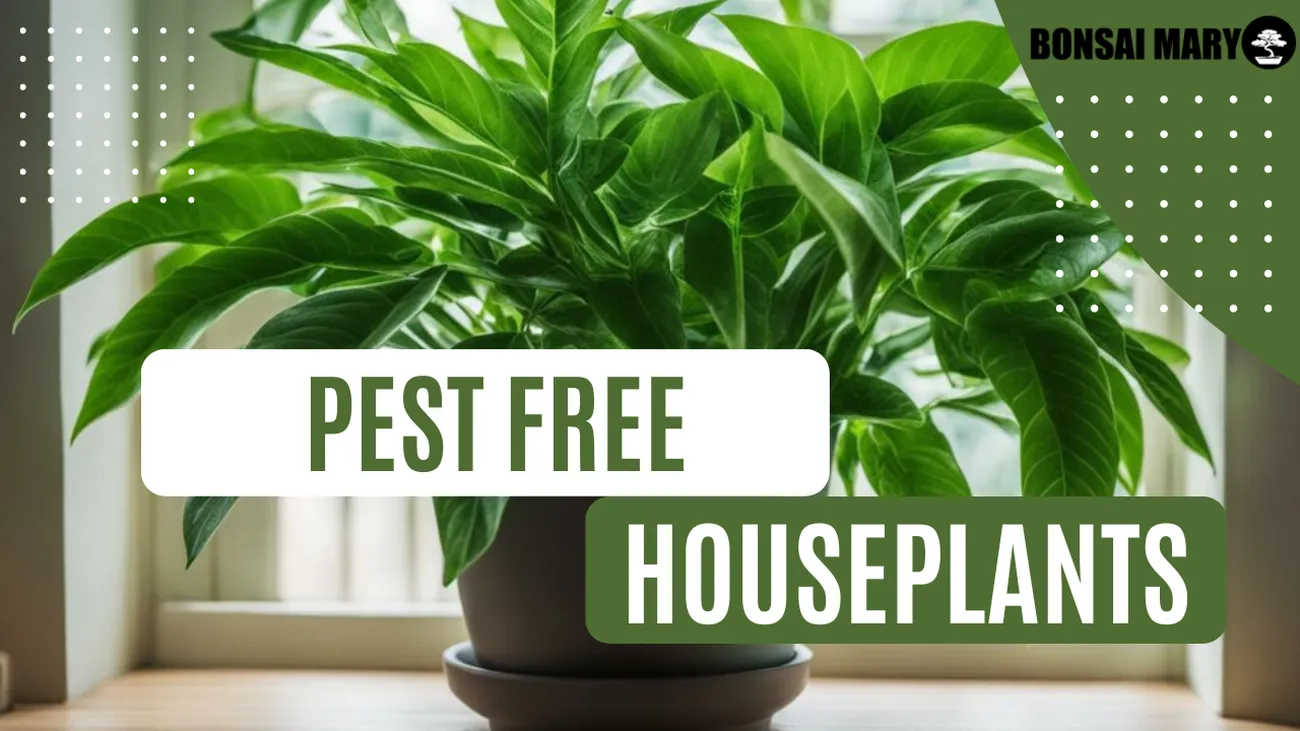 The Ultimate Guide to Pest Control Keeping Your Houseplants Healthy